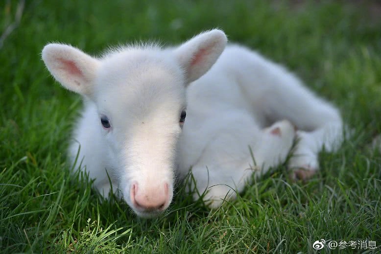 The government launched a program to preserve historical sites