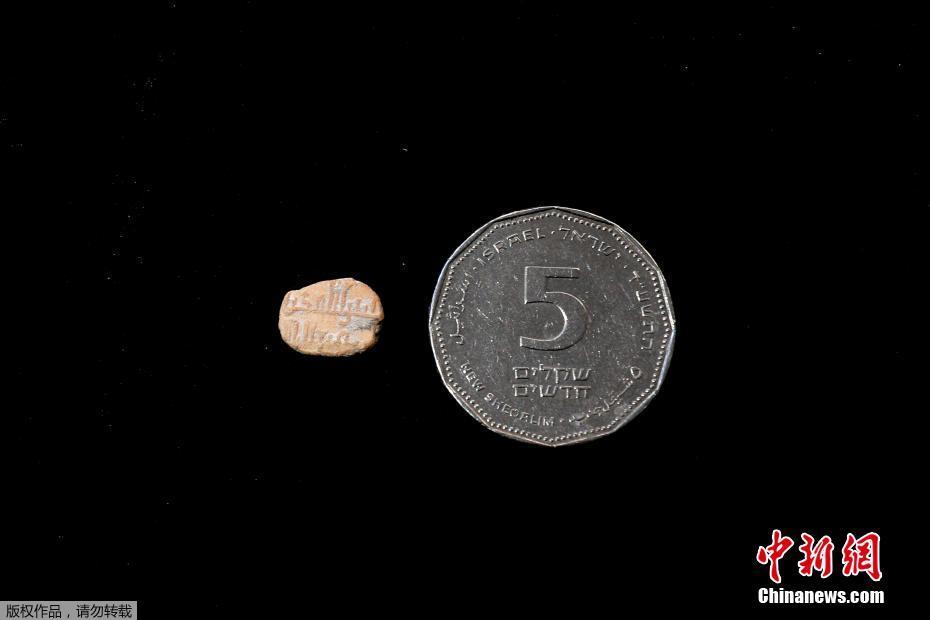 A catering company expanded its menu to include more plant based meal options