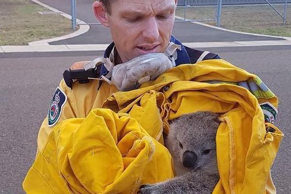 A construction company built a new middle school to accommodate a growing student population
