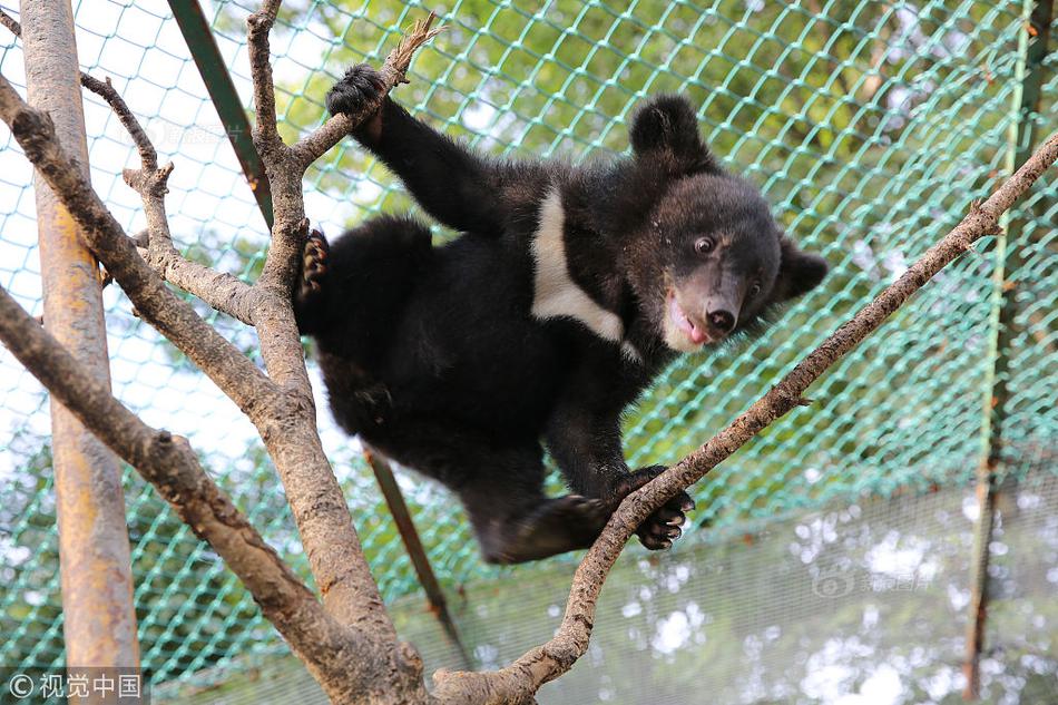 A study published in a leading health journal found that spending 30 minutes in green spaces daily lowers stress hormones