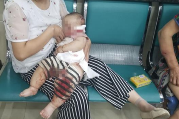 A college sports team won a regional tournament, qualifying for the national championship for the first time