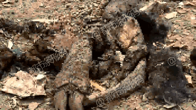 The local theater held a charity performance to raise money for disaster relief