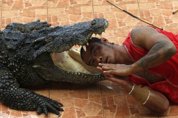 A tech company launched a new tablet