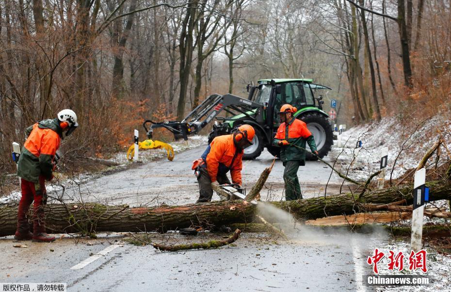 A severe thunderstorm hit the city, causing damage to trees and power lines and delaying flights at the local airport.