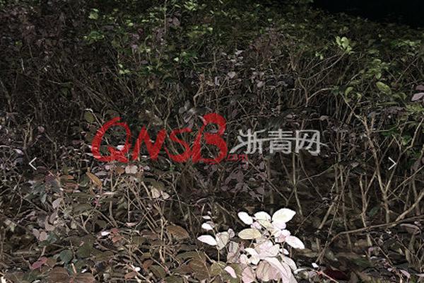 A study found time in nature reduces adult stress levels by up to 40%