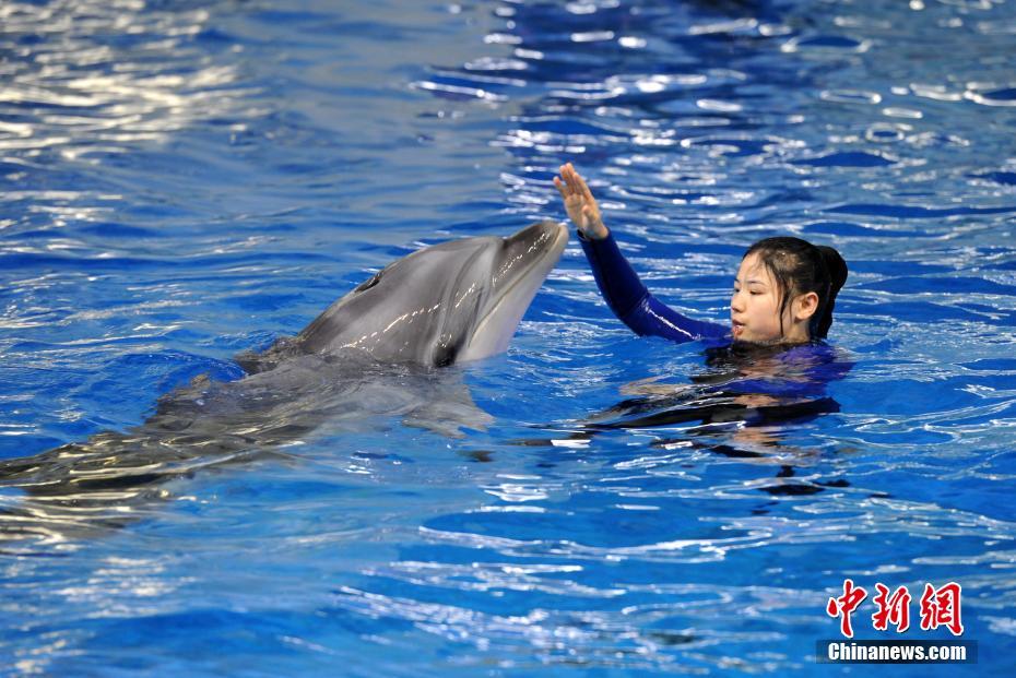 Local farmers protested against low crop prices demanding government support to cover production costs