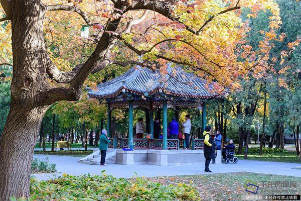 A local school held a science fair with students presenting projects on topics like renewable energy and space exploration