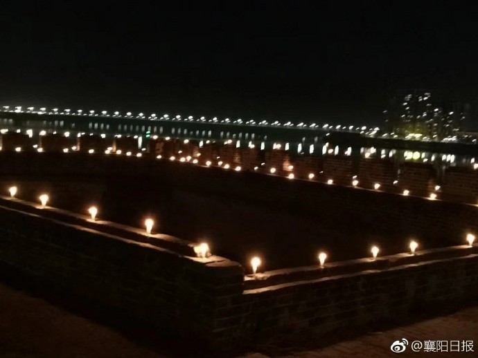 A local animal shelter organized an adoption event finding homes for over 80 dogs and cats