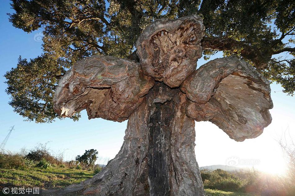 Doctors developed a new treatment for Parkinson’s disease that slows the progression of the illness