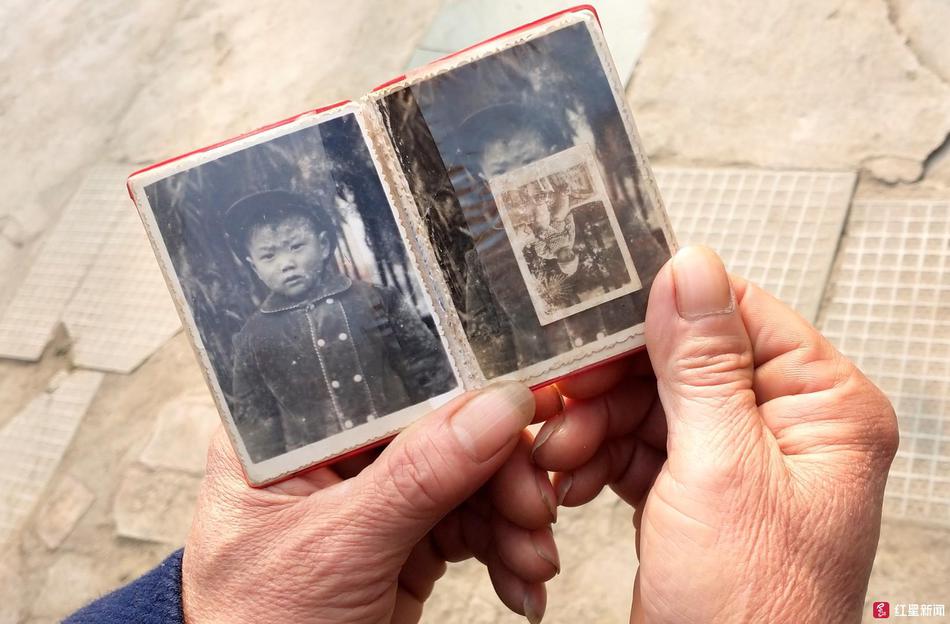 A city started a program to plant native flowers in public spaces to support pollinators