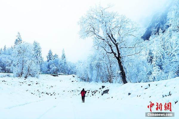 A national park started a program to protect endangered birds