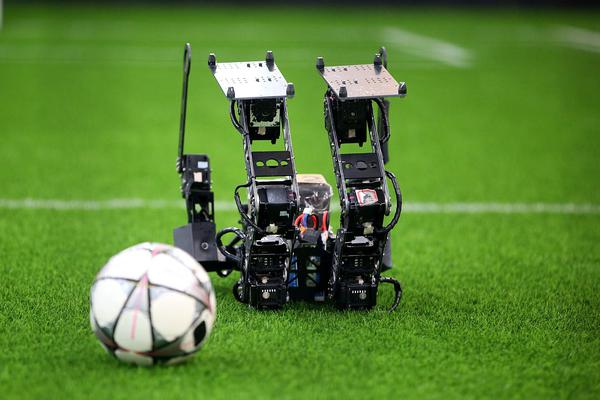 Researchers discovered that eating dark chocolate daily may improve brain function in adults