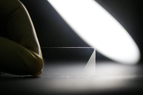 Researchers found that regular swimming improves cardiovascular health in older adults