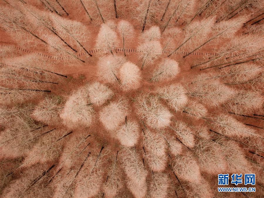 A local animal shelter held an adoption event finding homes for 50 dogs and cats