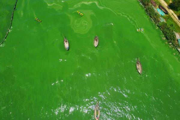 A popular fashion brand announced a sustainable clothing line made from recycled materials