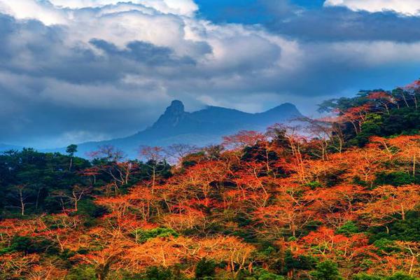 Geologists study impact of melting glaciers on sea level rise in Arctic region