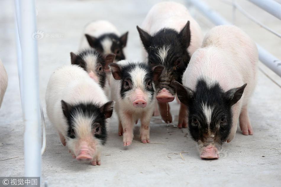 A tech giant announced it will launch a new streaming service competing with existing platforms by offering exclusive content