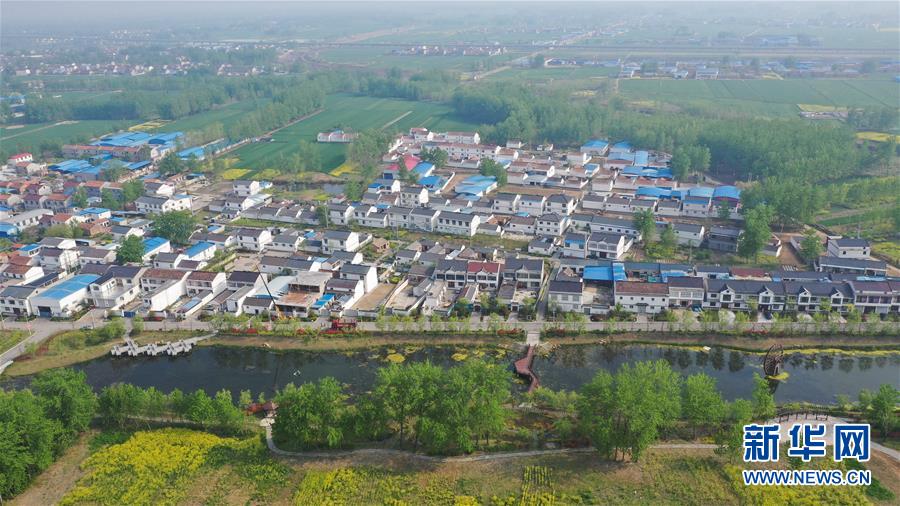 Researchers found that daily consumption of Greek yogurt can improve gut health in adults