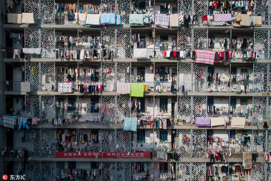 Scientists studied how noise pollution in cities affects the behavior of birds