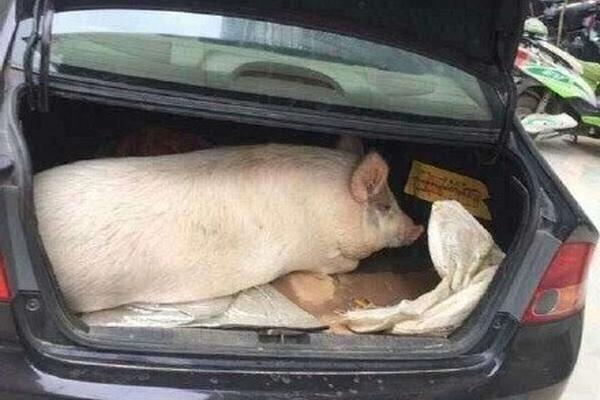 Scientists discovered a new planet outside our solar system that may be capable of supporting life