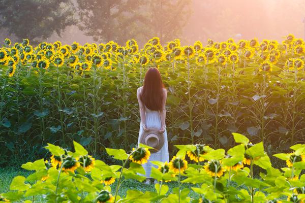 A charity raised $750000 to build wells and sanitation systems in rural Africa