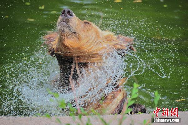 The national tennis team won the Davis Cup for the first time in 30 years