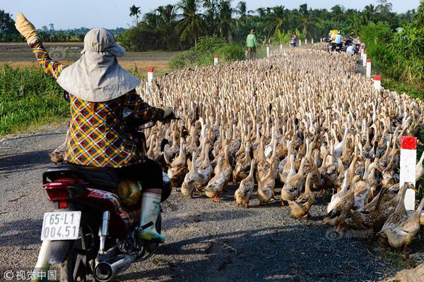 A community held a cultural festival featuring traditional music, dance, and food from India