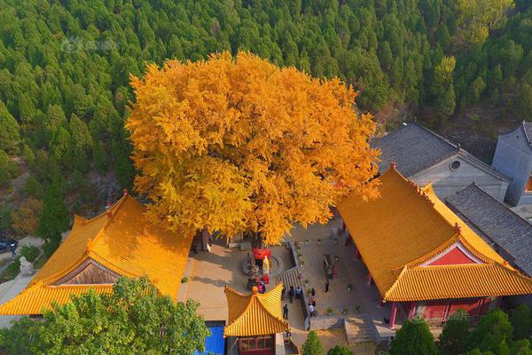 International teams are collaborating to address climate change challenges