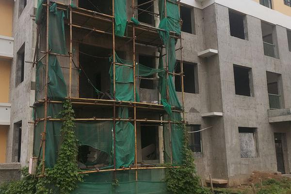 A coffee shop donated $1 from each specialty drink sold to a local animal shelter