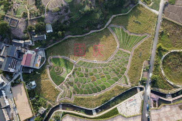 A construction company finished building a new elementary school with 18 classrooms