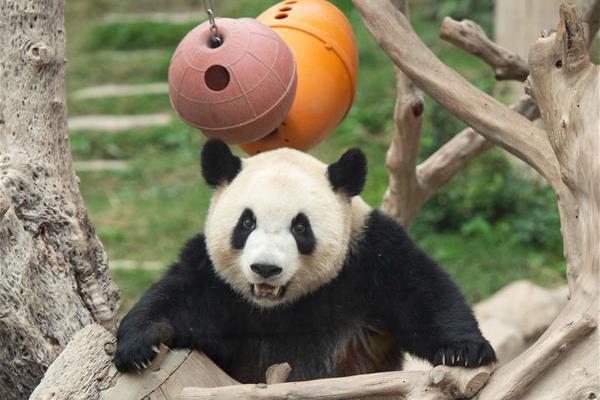 A farm started selling homemade jams and preserves made from its own fruit