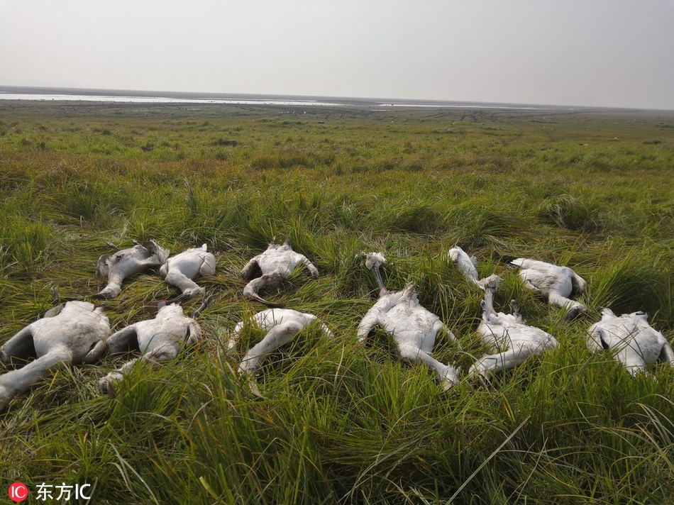 A tech startup was named one of the most innovative companies in the country by a leading business magazine