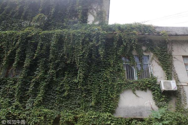 A historic theater was restored to its original 1920s design after a year-long project