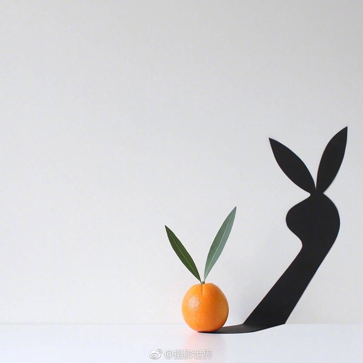 A major music festival was canceled due to safety concerns after a severe weather warning was issued.