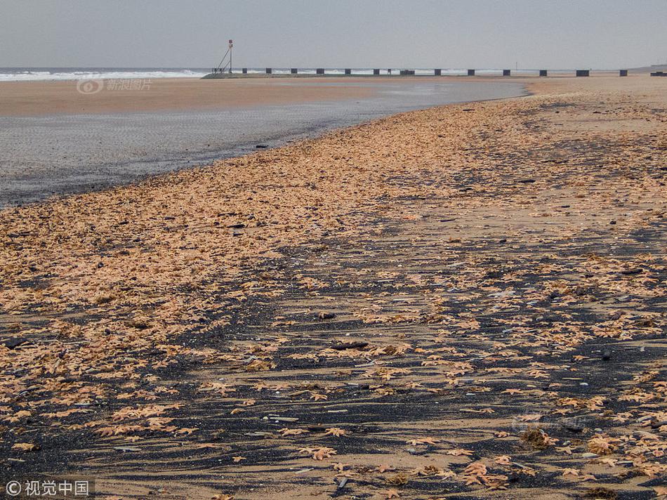 A team of engineers designed a new wind turbine that produces 50 percent more energy