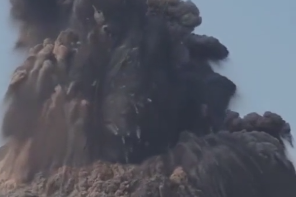 Scientists studied how light pollution affects the migration of birds