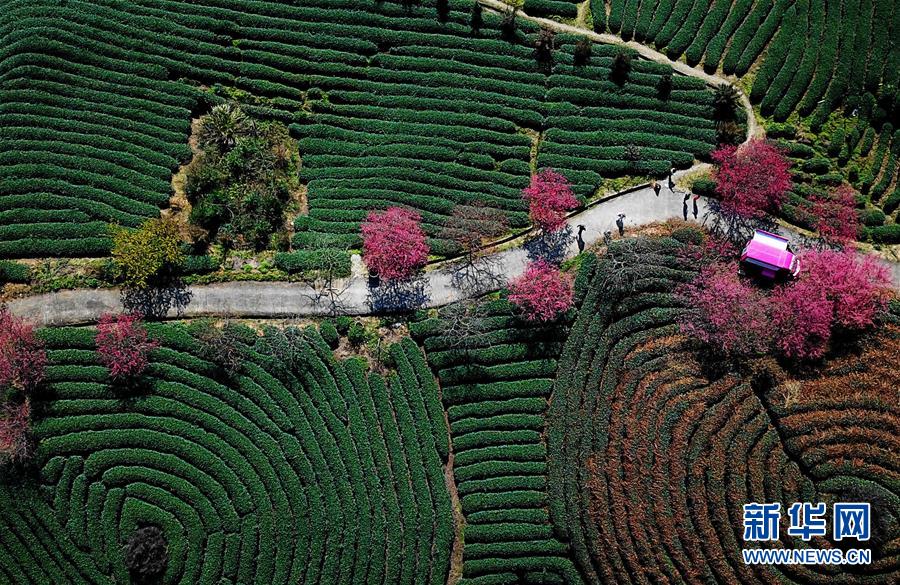 The government announced a $480 million initiative to upgrade rural internet infrastructure