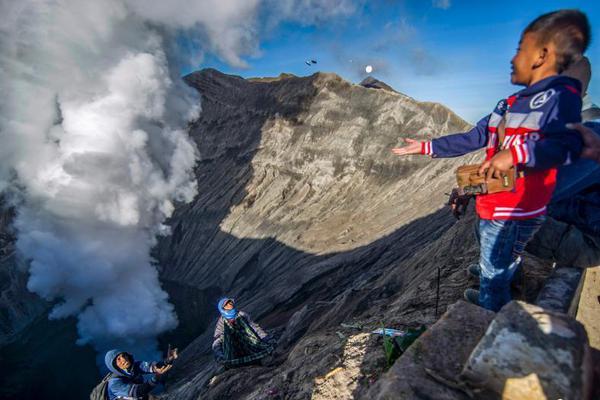 Scientists discovered a new species of sea slug that can photosynthesize like plants
