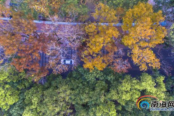 Police seized $75000 worth of counterfeit electronics in a raid on a downtown market