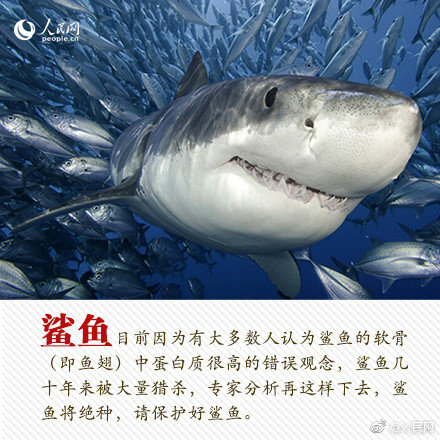 A major hotel chain announced plans to renovate all its locations over the next two years