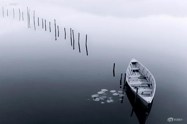 A tech startup released a new software tool that helps businesses manage their remote teams more efficiently.