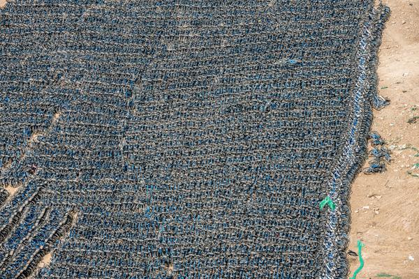 The stock market recovered quickly after a short period of uncertainty