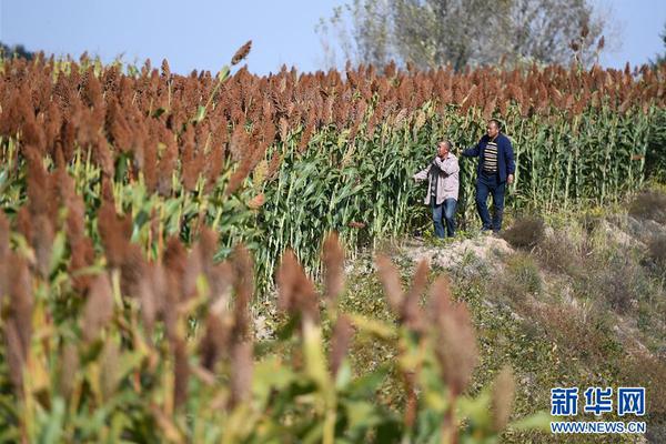 A community garden project provided over 500 pounds of fresh vegetables to low-income families this season