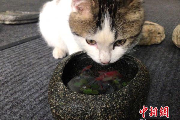 A bakery introduced a