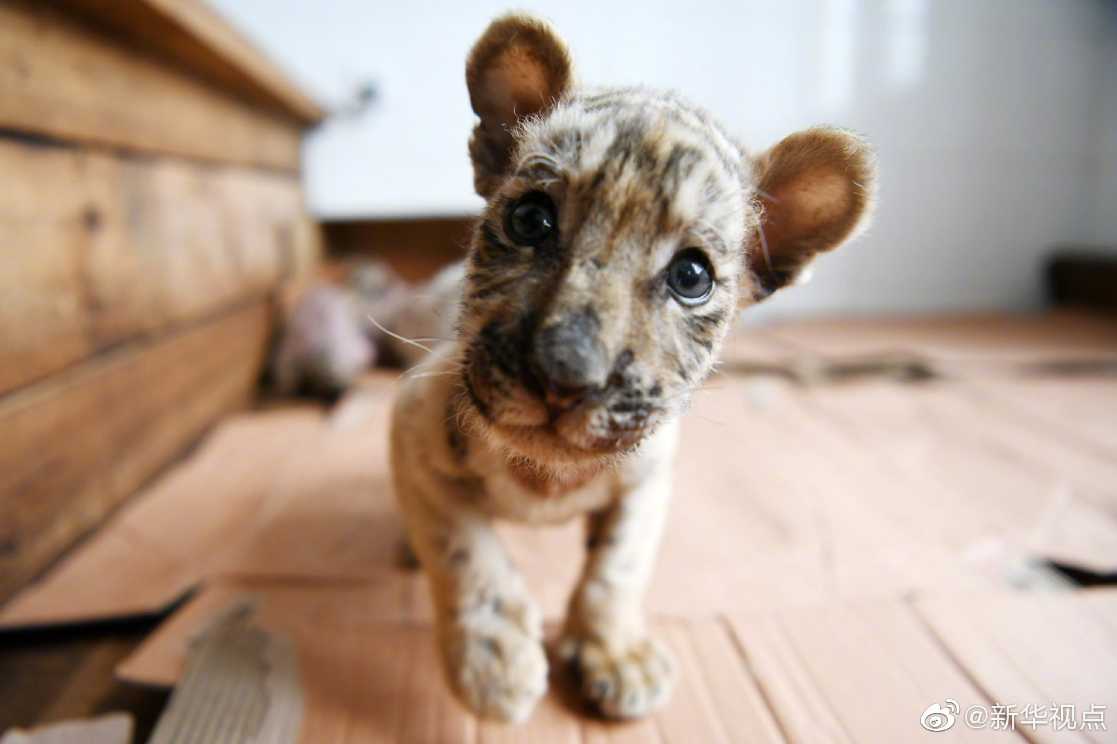 A school district bought new textbooks for students in all grades