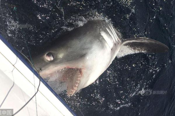 The school district decided to start classes 30 minutes later to help students get more sleep