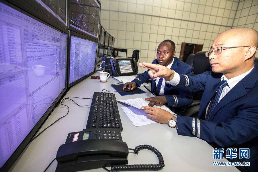 A popular restaurant chain introduced a new plant based menu line to meet customer demand