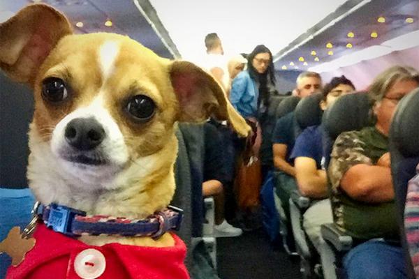 A fashion store started selling sustainable denim made from recycled cotton