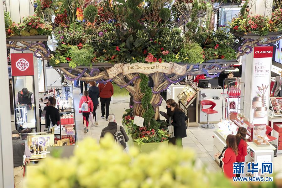 A major airline announced it will use sustainable aviation fuel for 10% of its flights