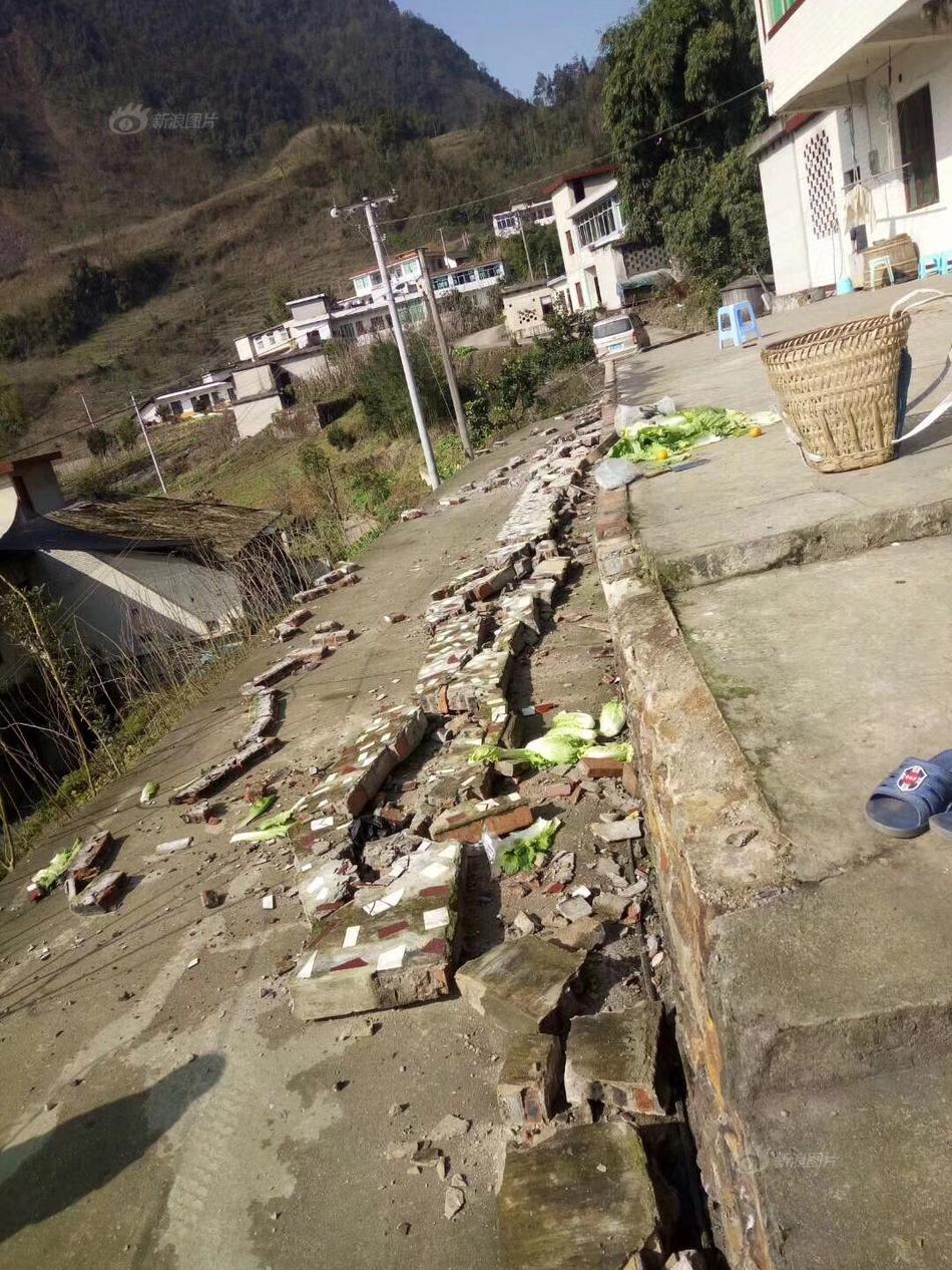 Researchers discovered that plants grow better when exposed to soft music for a few hours a day